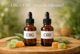 CBG vs CBD: What’s the Difference and Which One Is Right for You?