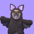 The Moon Hides a Scrambled Record of 100M Years of Supernovae. Researchers Just Unscrambled It.