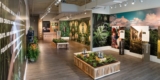 Our Top 6 Picks – CBD Shopy