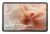 Entity G12 Pro Mediatek 8 GB 32 cm (12.6″) 128 GB Android 14 Grey
