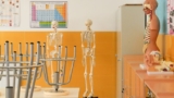 Teaching Forensic Anthropology Through Touch: Reflections on Tactile Teaching with Blind and Partially Sighted Learners