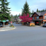 Discovering the Hidden Gems and Market Trends in Woodinville and Redmond