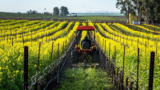 How to Kill Winter Crops Without Losing Soil Gains