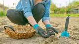 What to Direct Sow vs. Plant Indoors