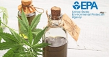 EPA funding hemp-pulping research in California