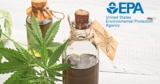 EPA funding hemp-pulping research in California