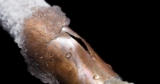 The Iceman Cometh & Freeze-Up Losses — Have Your Insureds Used Reasonable Care to Maintain Heat?