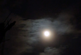 Blue Moon – Kath’s Journey