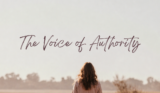 The Voice of Authority (Big, Scary Dog)