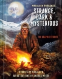 International Journal of Comic Art blog: Graphic novel review