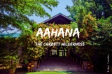 My Visit to Aahana Resort – The Corbett Wilderness, Jim Corbett National Park Uttarakhand
