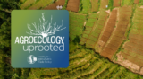 Agroecology Uprooted Episode Five: System Change