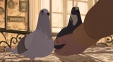 INTERVIEW: Amos Sussigan On “Pigeons” And “The Cat In The Hat”