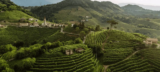 Andreola Valdobbiadene Recent Releases – 1WineDude.com