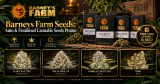 Auto & Feminised Cannabis Seeds Promo