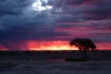 The Best Time To Visit Etosha National Park Guide For 2025