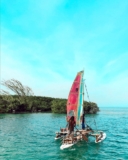Belize Snorkeling Tour : Swimming With Manatees