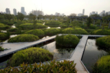 Benchakitti Forest Park, a Masterpiece of Landscape Architecture