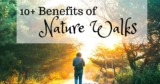Benefits of Nature Walks – Contentment Questing