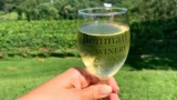 The WineDivaa Guide to New York’s Shawangunk Wine Trail • WineDivaa