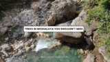 Don’t Miss These 5 Trekking Trails In Meghalaya