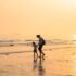 A Child Lying On The Family Dog Has Potential Dangers