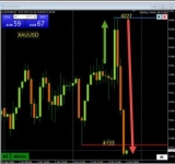 You Can’t Beat the News Algos So Stop Trying
