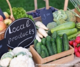 Fresh and Local: Exploring Montgomery Farmers Markets and Farm Stands