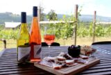 Discover Blue Grouse Estate Winery’s New Wine Releases — uncorkBC