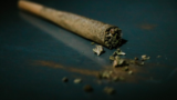 Hemp, Tea Leaf and Botanical Wraps for Pre-Rolls