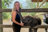 An Afternoon at Elephant Havens: Botswana’s Elephant Orphanage