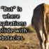 Cow’s Milk, Goat Milk, & Specialty