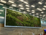 Welcome to “Hidden Airport”