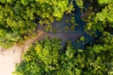16 BEST Cairns Day Trips Not to Be Missed [2026 Guide]