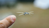 Can You Repair a Cracked or Chipped Windshield?