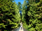 Save that Beer Money with these Cheap and Best Hostels in Vancouver BC