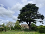 The Simple Life Reigns at the Thyme Hotel