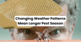 Changing Weather Patterns Mean Longer Summer Pest Seasons