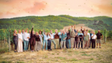 The Wine Resistance: A New Wine Series About Culture, Climate, and People