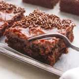 Chocolate Cake Bars with Chocolate Pudding Frosting