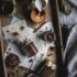 XRP Ledger Sponsored Fees Proposal Could Make XRP Less Visible To Some Users