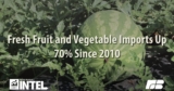 Competing Across the Calendar: The Growing Squeeze on U.S. Produce | Farm Bureau Intel Markets