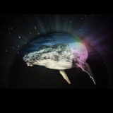 Listening with Whales: Song, Grief, and Obligation Across Ways of Knowing