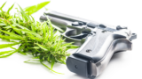 United States v. Hemani: SCOTUS Backs Gun Rights