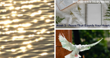 Summer Bible Study Series Week 3