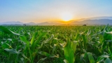 Farm Groups Rally Behind Senate Committee Approval of 2026 Farm Bill