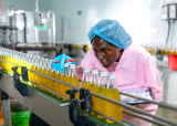 Agrifood Systems: Africa’s Answer to the Jobs Challenge