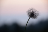 Encouragement for the Encourager – Look Up Sometimes
