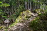 How to Walk the Kumano Kodo in Japan On Your Own