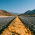 You Are Responsible for What You Have Tamed – Ep 300 – The Intellectual Investor